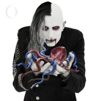 The Doomed - A Perfect Circle