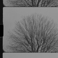 This Time Of Year - Rhys Lewis