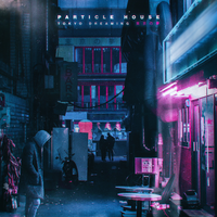 A Mistake - Particle House