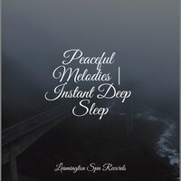 Deep Sleep - Wellness, Nature Soundscape, Unforgettable Paradise SPA Music Academy