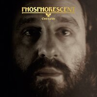 C'est La Vie No.2 - Phosphorescent