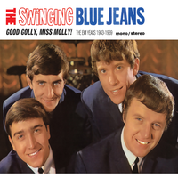 Swinging Blue Jeans