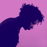 The Scene - L.A. Salami