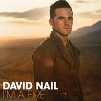 Galveston - David Nail, Lee Ann Womack