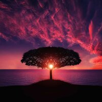Delight in Focus - Zen Meditation and Natural White Noise and New Age Deep Massage, REIKI, Music for Reading