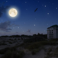 Inner Peace - Erotic Sexual Chill out Lounge Music Café, Klassisk Musik Orkester, Massage Tribe