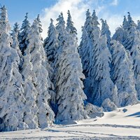 Mistletoe - Musique de Noel Academie, best christmas songs, xmas songs, Best Christmas Songs, xmas songs