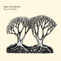 Save It - Paper Aeroplanes
