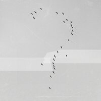 Mỗi Khi Đêm Về - NGO