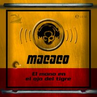 Gacho el Peleón - Macaco