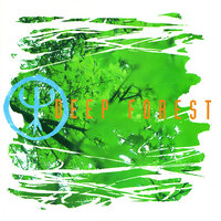 Sweet Lullaby - Deep Forest