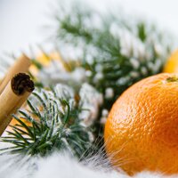 Celebrate the Season - Children’s Christmas, Jingle Bells, Canciones de Navidad Escuela, Jingle Bells, Canciones de Navidad Escuela