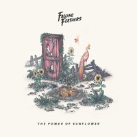 Dusty Rose - Falling Feathers