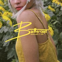 Ain't Nobody Like You - Wildflowers