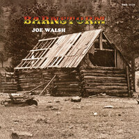 Birdcall Morning - Joe Walsh