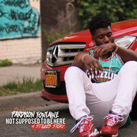 Null & Void - Pardison Fontaine