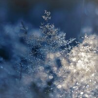 In a Daze - Relaxing Mindfulness Meditation Relaxation Maestro, Deep Sleep Music Maestro, Greatest Christmas Songs