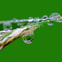 Water Vapor - It's Raining, Nursery Rhymes ABC, White Noise Research, Nursery Rhymes ABC, White Noise Research