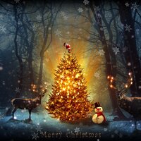 Angels All Around - New Christmas, New Age, Relajacion Del Mar