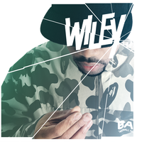 Wot Do U Call It? - Wiley