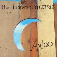 For Fun - The Hidden Cameras