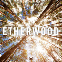 Disposition - Etherwood, Rocky Nti