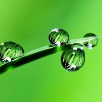 One Fine Rain - Yoga Soul, Relaxing Rain Sounds, Massage Therapy Music