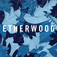 Light My Way Home - Etherwood, Eva Lazarus