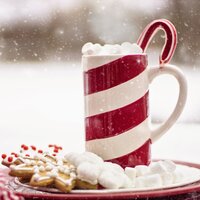 Think Christmas - Christmas Music and Holiday Hits, White Noise Research, Tranquil Music Sound Of Nature