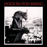 St. Peters Keys All Bloody - Current 93