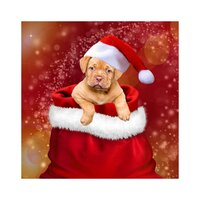 Tree Trimmings - Instrumental Christmas Music, Background Music, Romantic Dinner Party Music With Relaxing Instrumental Piano, Background Music, Instrumental Christmas Music