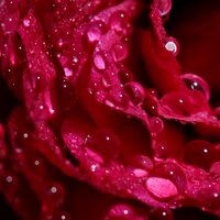 Peaceful Deluge - Relaxing Spa Music, Spa Zen, Ambiente
