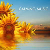 Pain Relief - Relaxing Acoustic Guitar Music - Calming Music Academy