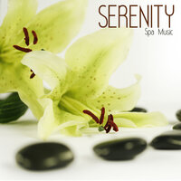 After the Rain - Serenity Spa Music Relaxation