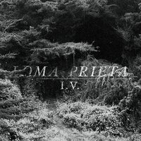 Aside From This Distant Shadow, There Is Nothing Left - Loma Prieta