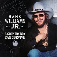 The Conversation - Hank Williams Jr., Waylon Jennings