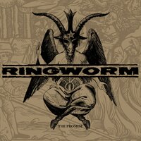 Sideshow - Ringworm
