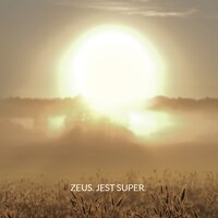 Idealnie niedoskonały - Zeus