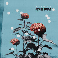 Аврора - SLIMUS