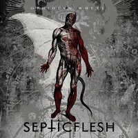 Heaven Below - Septicflesh