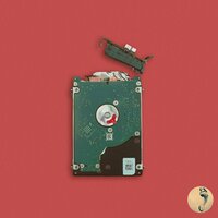 Cowboy - NEIKED, Thomas Stenström