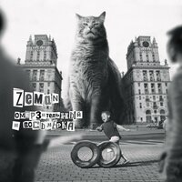 Панчетта - Zeman