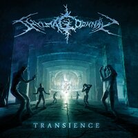 Journey Through the Fog - Shylmagoghnar