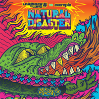 Natural Disaster - Laidback Luke, Example, Andy C