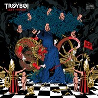 ili - Troyboi