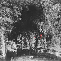 Light Delusion Curtain - Yellow Eyes