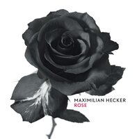 Daylight - Maximilian Hecker