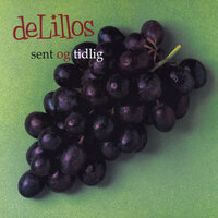 Festreligiøs - deLillos