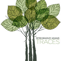 I Cannot Settle Down - Peter Bradley Adams