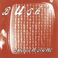 Little Things - Bush